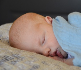 Flynn, September 2017