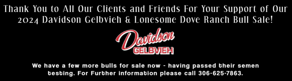 Thank You to All Our Clients and Friends For Your Support of Our 2024 Davidson Gelbvieh & Lonesome Dove Ranch Bull Sale. We have a few more bulls for sale now - having passed their semen testing. For Further information please call 306-625-7863.