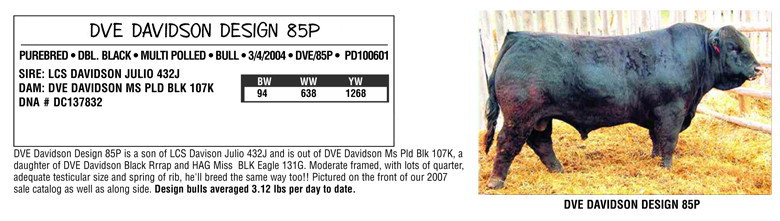 DVE Davidson Design 85P
