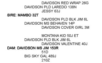 Pedigree and EPDs for DVE Davidson Moneyman 86Y