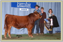 DVE Davidson Tequila 29N - Reserve Grand Champion at the 2003 Farmfair International in Edmonton.