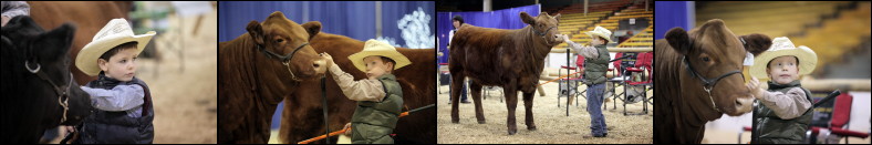 Results from Agribition