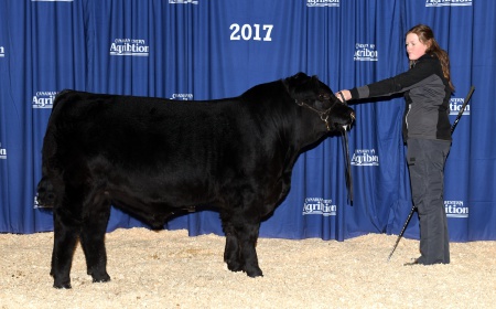 We won at Agribition!