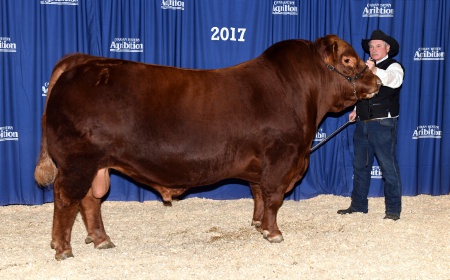 We won at Agribition!