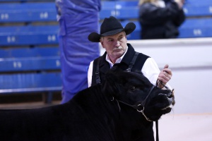 Results from Agribition