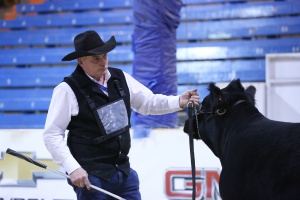 Results from Agribition