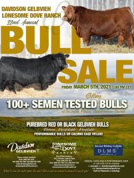 Click to see an enlargement of the Davidson and Lonesome Dove Gelbvieh Sale ad.  The sale is March 5, 2021.