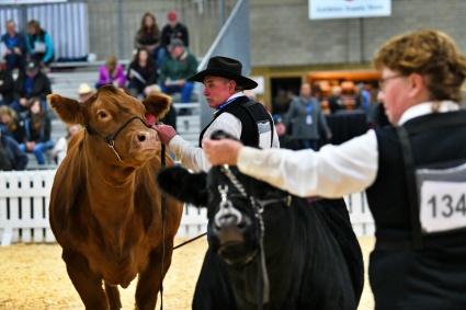 Vern and Eileen in the show ring at Edmonton
