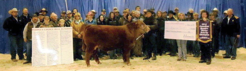 DVE Davidson Hoss 1X, the 2014 People's Choice Award winner.