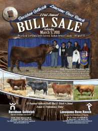 Click here to see the Davidson Gelbvieh 2011 Bull Sale catalogue.